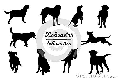 Labrador dog silhouettes. Vector Illustration