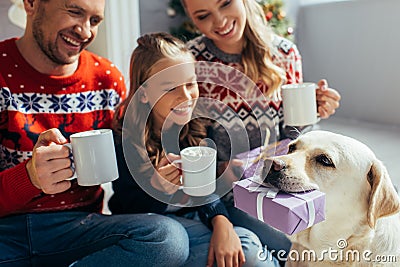 Labrador holding gift near near joyful Stock Photo