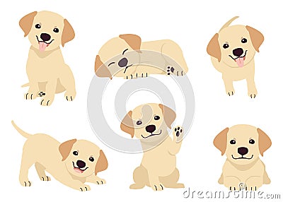 The collection of puppy labrador retriever in many action. Vector Illustration