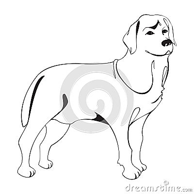 Labrador Retriever dog figure. Vector Illustration