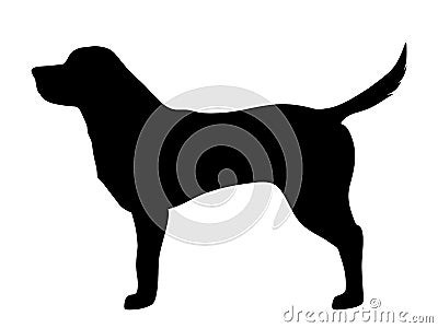 Labrador retriever dog. Vector black silhouette. Vector Illustration