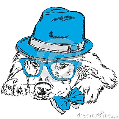 Labrador vector . Pedigree dog. Cute puppy. Labrador wearing a hat , sunglasses and a tie . Vector Illustration