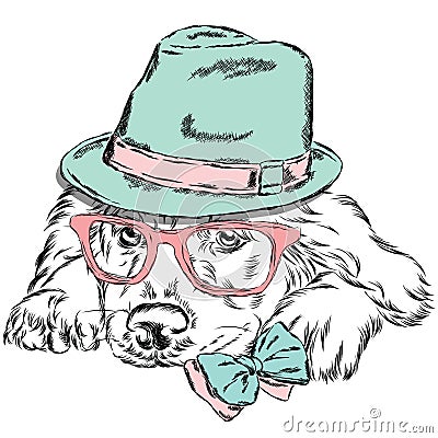 Labrador vector . Pedigree dog. Cute puppy. Labrador wearing a hat , sunglasses and a tie . Vector Illustration