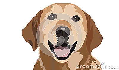 Labrador Vector Tracing Art Design Dog Portrait Stock Photo