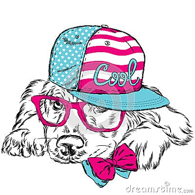 Labrador wearing a cap and a tie. Pedigree dog. Vector dog. Postcard with the Labrador. Hipster. Vector Illustration