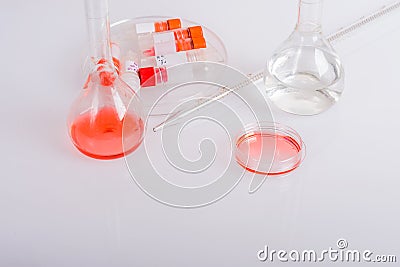 Labware dishes for biochemical experiment in scientist laboratory. Stock Photo