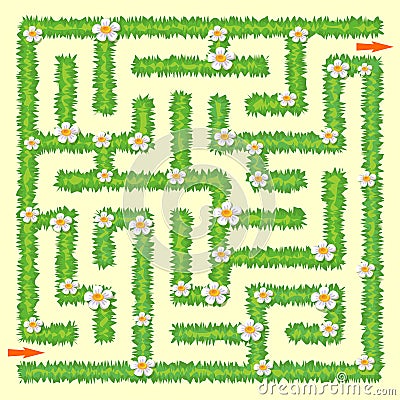 Labyrinth. Maze game for kids. Green grass and chamomiles Vector Illustration