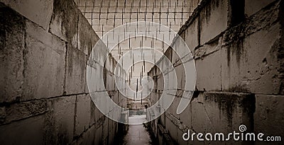 Labyrinth perspective for concept related to claustrophobia and claustrophobic people Stock Photo