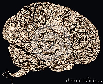 Lace brains Stock Photo