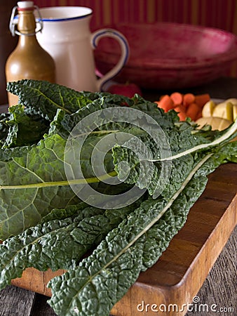 Lacinato Kale Stock Photo