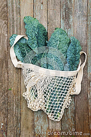 Lacinato kale in eco-bag Stock Photo