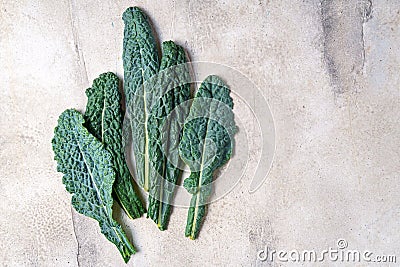 Lacinato kale leaves with copy space Stock Photo