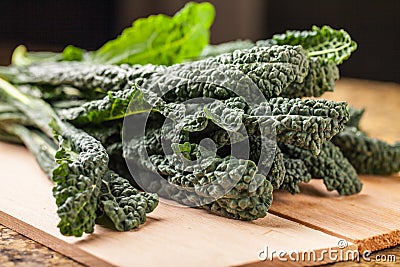 Lacinato kale with studio lightning Stock Photo