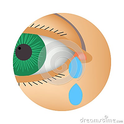 Lacrimation from the eyes. Symptom of conjunctivitis, allergies, inflammation of the eyes. Eye watering icon Vector Illustration