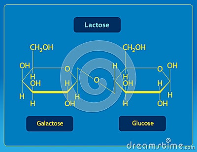 Lactose Stock Photo