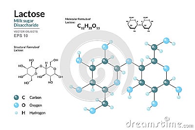 Lactose. Milk Sugar. Disaccharide. Structural Chemical Formula and Molecule 3d Model. C12H22O11. Atoms with Color Coding. Vector Vector Illustration