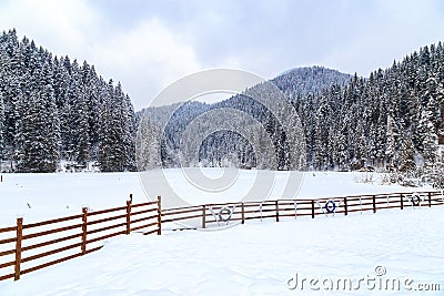 Lacu Rosu in Harghita, Romania, under the snow on winter day Stock Photo