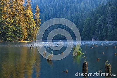 Lacul Rosu - Red Lake in a summer morning sunrise, the Carpathians, Romania Stock Photo