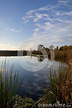 Lacy Clouds Reflected In Pond Stock Photo