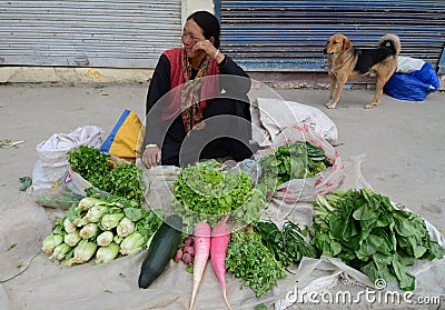 Ladakhi ladies selling fruit and vegetables Editorial Stock Photo