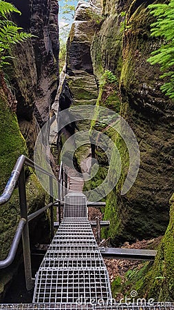 Ladder ascent through narrow damp mossy rocky gorge, Saxony, Germany Stock Photo