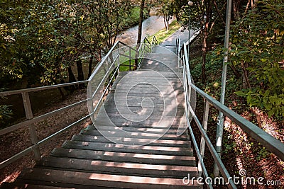 Ladder in park with metal handrails. Wooden steps going down Stock Photo