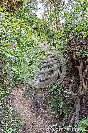 Ladders on Mudslide trail to the top of Ploughmans Kop Stock Photo