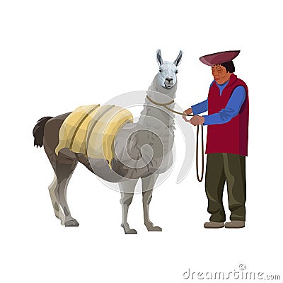 Laden lama with a farmer Vector Illustration