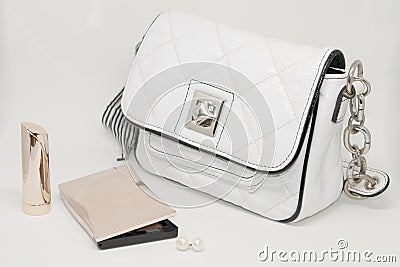 Ladies Bag. Beauty and Elegance Stock Photo