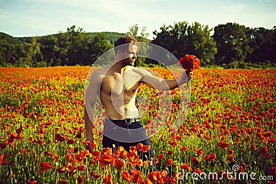 Ladies` man. man with muscular body in field of red poppy seed Stock Photo