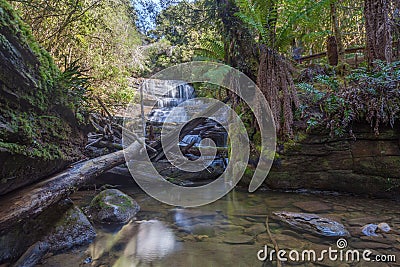Lady Barron waterfall cascading down the rocks at Mount Field Na Stock Photo