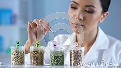 Lady biochemist analyzing pea grain organic food inspection nutrition properties Stock Photo