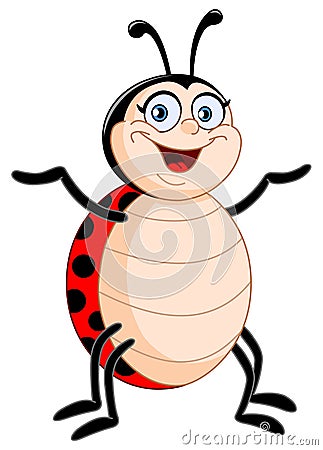 Lady bug Vector Illustration