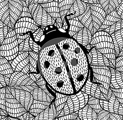 Lady bug. Decorative illustration of doodle insect on leaves background. Vector Illustration