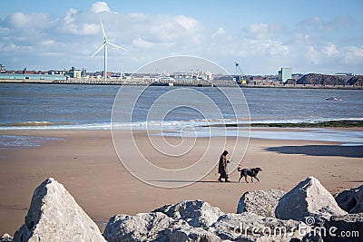 The lady with the dog, New Brighton. England. Editorial Stock Photo