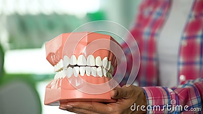 Lady holding model of jaw closeup, facial surgery, dental care and oral hygiene Stock Photo