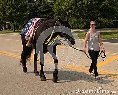 Lady leading a riderless horse with boots backward in the stirrups Editorial Stock Photo