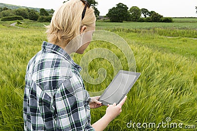 Lady in a Meadow Staring at Blank Screen of Tablet Computer Stock Photo