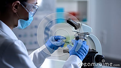 Lady microbiologist preparing herbal sample for examination, laboratory work Stock Photo