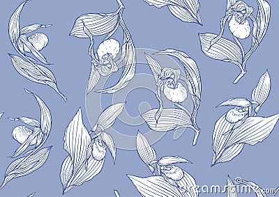 Lady's slipper orchid. Cypripedioideae. Seamless pattern, background. Vector Illustration