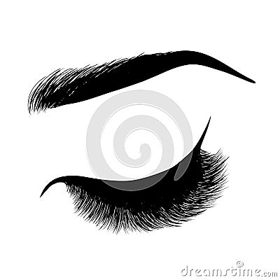 Lady stylish eye and brows with full lashes Vector Illustration