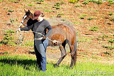 Lady Training Young Horse Stock Photo