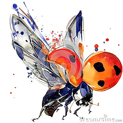 Ladybird beetle T-shirt graphics, ladybird illustration with splash watercolor textured background. Cartoon Illustration