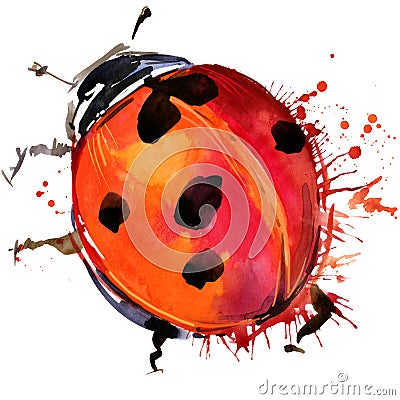 Ladybird beetle T-shirt graphics, ladybird illustration with splash watercolor textured background. Cartoon Illustration