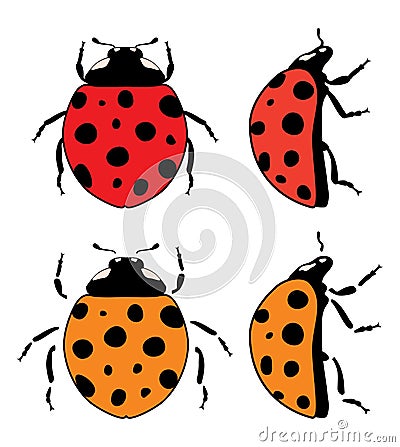 Ladybird flat symbols. vector Vector Illustration