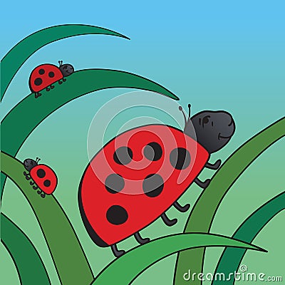 Ladybird and her family Vector Illustration