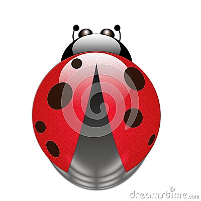 Ladybug Stock Photo