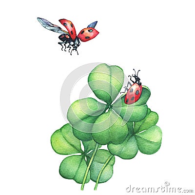 Ladybug in flight and sitting on a green four leaf clover. Stock Photo
