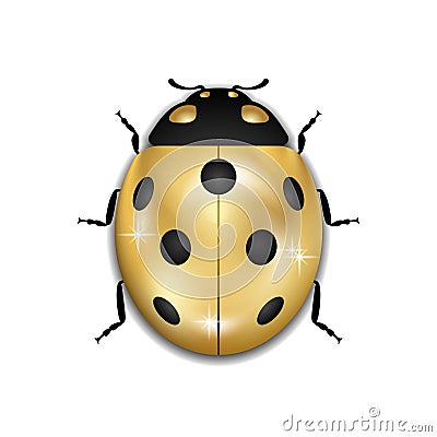 Ladybug gold insect small icon. Golden lady bug animal sign, isolated on white background. 3d volume design. Cute Vector Illustration