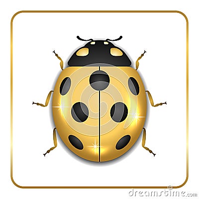 Ladybug gold insect small icon Vector Illustration